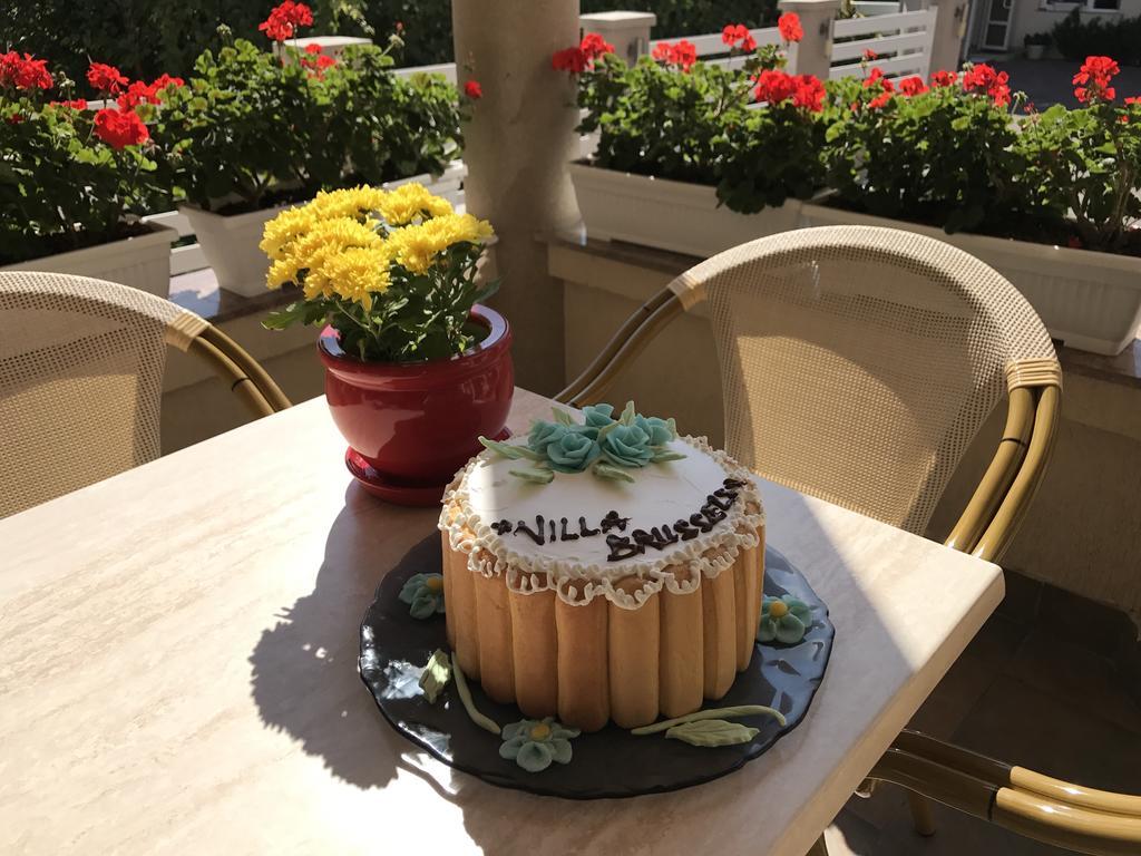 Villa Brussels Deva Ngoại thất bức ảnh