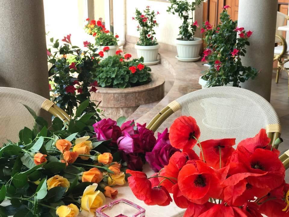 Villa Brussels Deva Ngoại thất bức ảnh